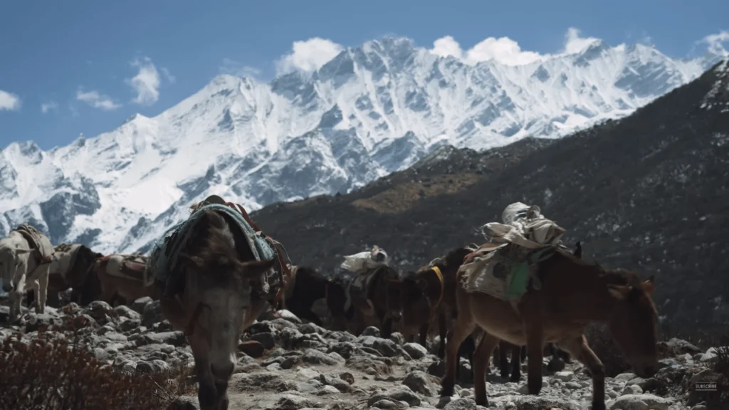 Langtang Valley