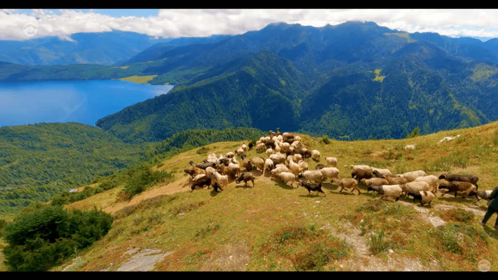 Rara Lake